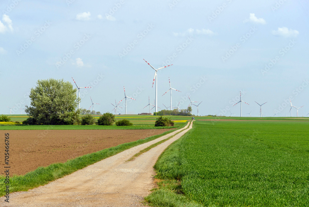 Fototapeta premium Wind turbines for electric power production in the field
