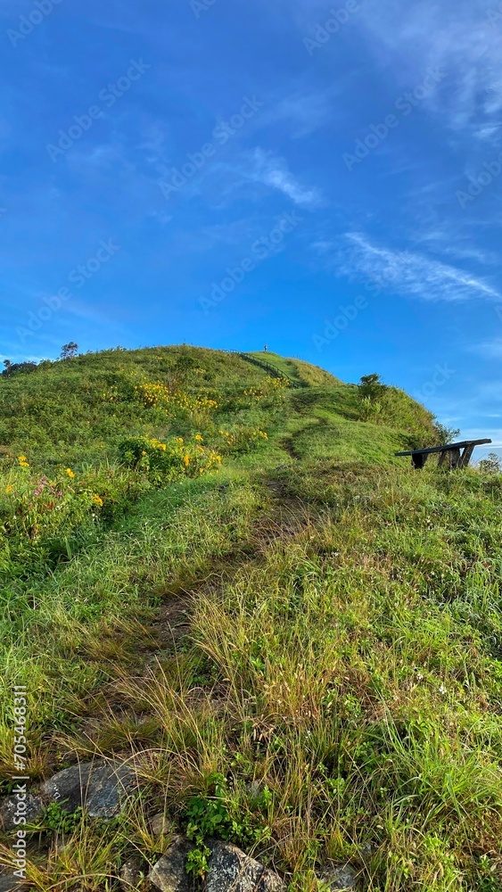 Fototapeta premium Mountain forest landscape in morning light at sunrise in national park Vertical image format