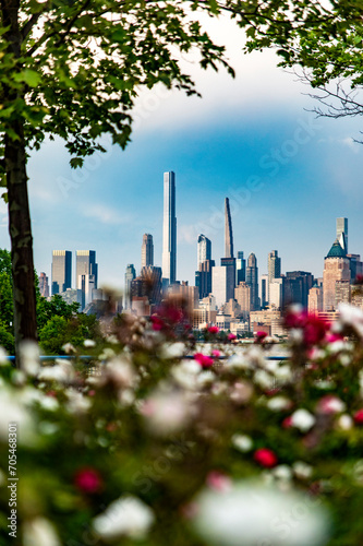 фотографія Vertical photograph with flowers and the wonderful skyline in the background with the skyscrapers of Manhattan, New York City (USA)