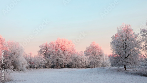 Beautiful panoramic winter landscape with the pink morning glow. © nipa