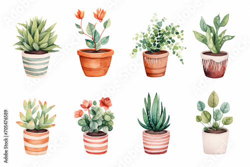 Watercolor from a cute succulent pot plants on white background.