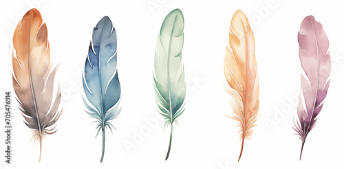 Cute Boho collection, featuring a set of bird feathers on a white background. © Old Man Stocker