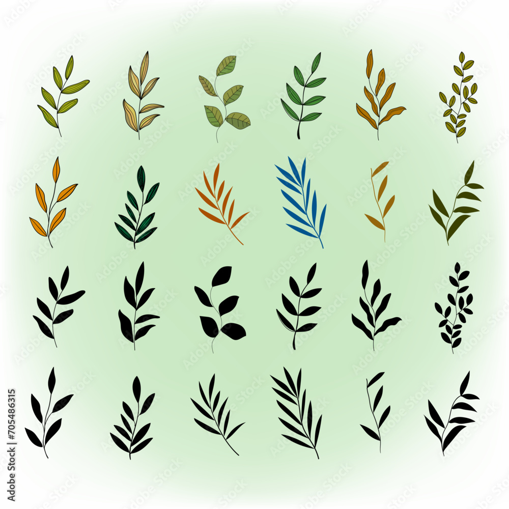 Set of floral leaves on boho style hand drawing vector illustration minimalist design.
