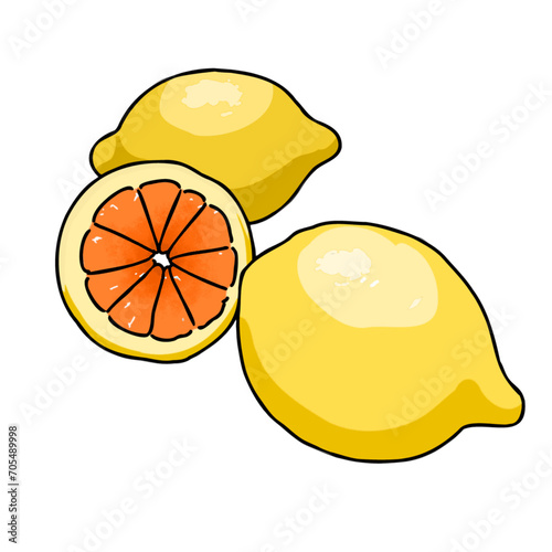 vector illustrations of lemons and leaves for banners, cards, flyers, social media wallpapers, etc.