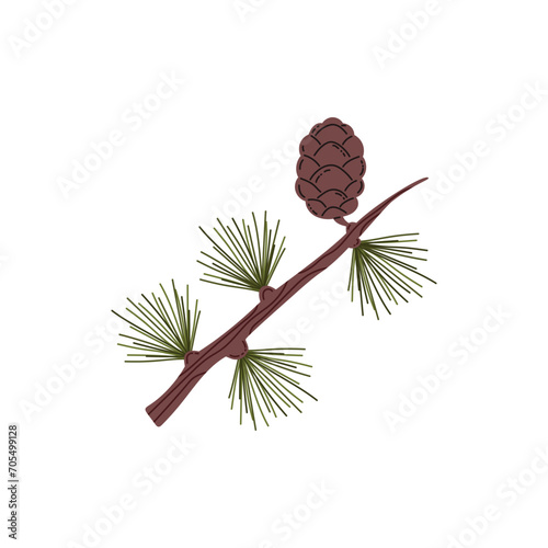 Branch of conifer tree with needles and cone, vector taiga evergreen pine tree fir, cedar or spruce twig forest plant