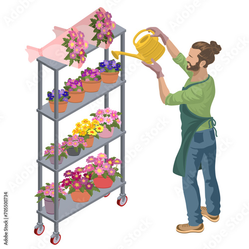 A young man in a greenhouse worker takes care of plants on a rack. A guy waters flowers from a watering can. Isometric people. Flower shop seller, florist. 3D Isometric vector illustration.
