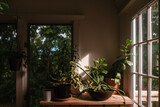 Still life of plants on a table next to windows in sunlight
