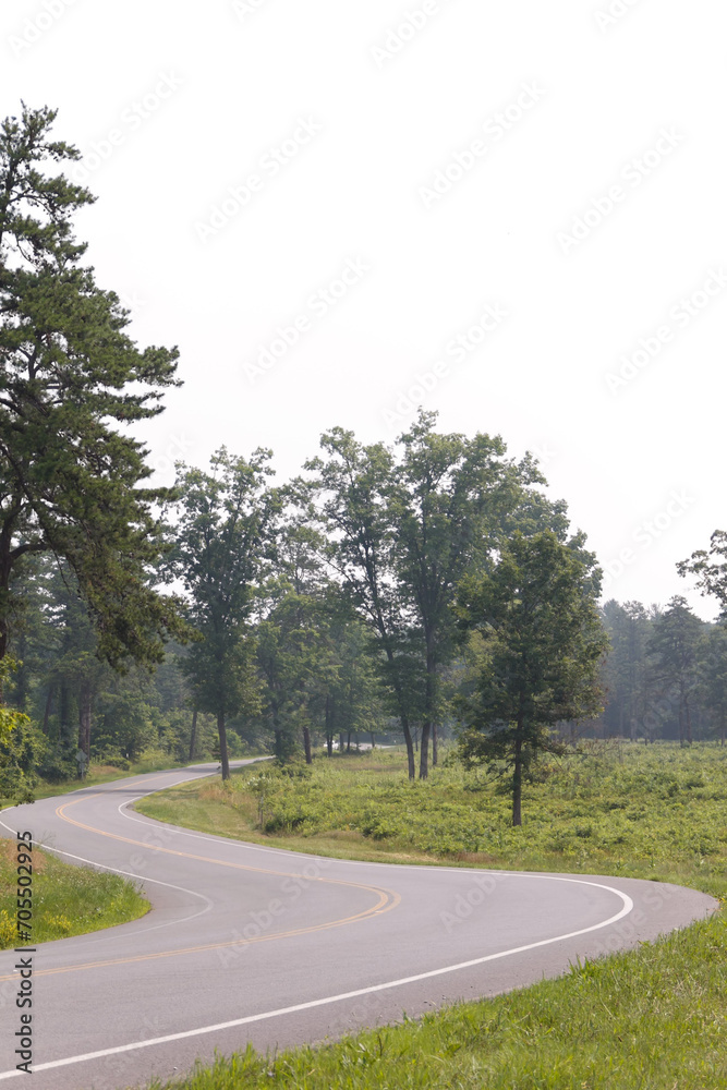 Foggy wooded scene with winding road Foggy wooded scene with winding road