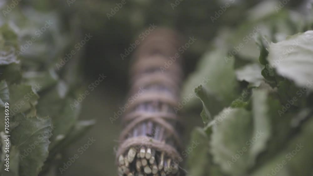 A close-up shot of a bathbroom made of small birch branches for sauna activities A close-up shot of a bathbroom made of small birch branches for sauna activities