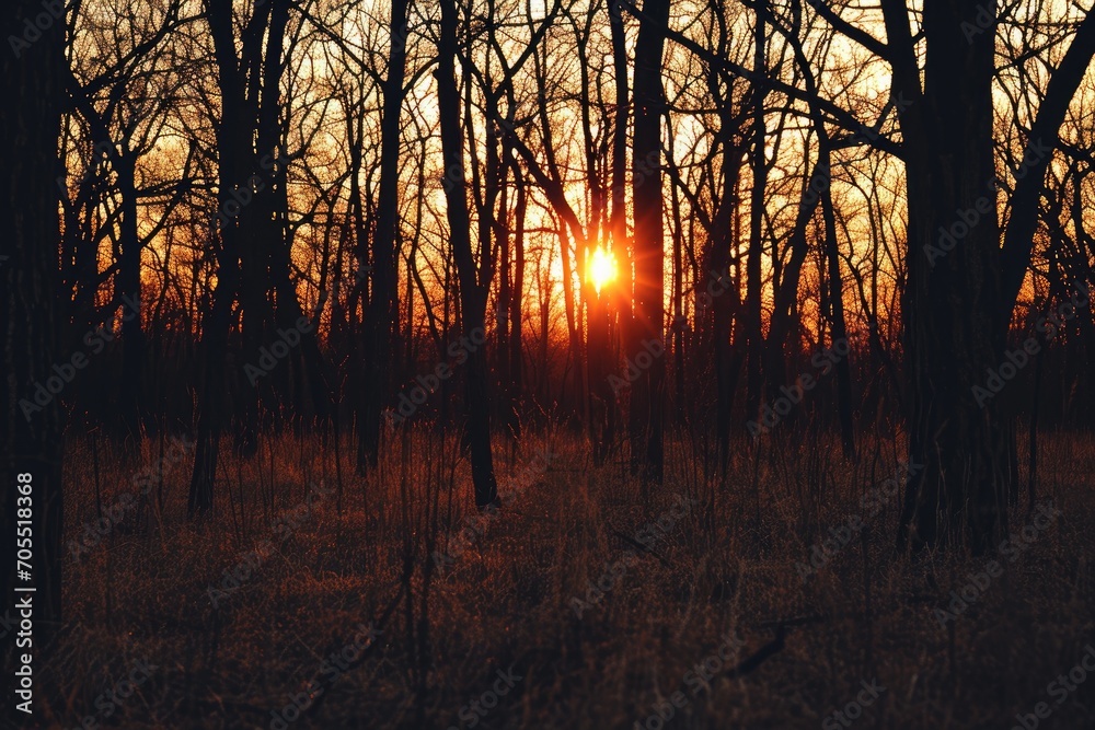 beautiful nature creation professional photography beautiful nature creation professional photography