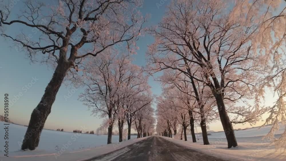 Along scenic winter road surrounded by frost-covered trees in the evening sunlight. Along scenic winter road surrounded by frost-covered trees in the evening sunlight.