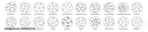 Set of bacteria in a magnifying glass. Vector illustration in doodle style