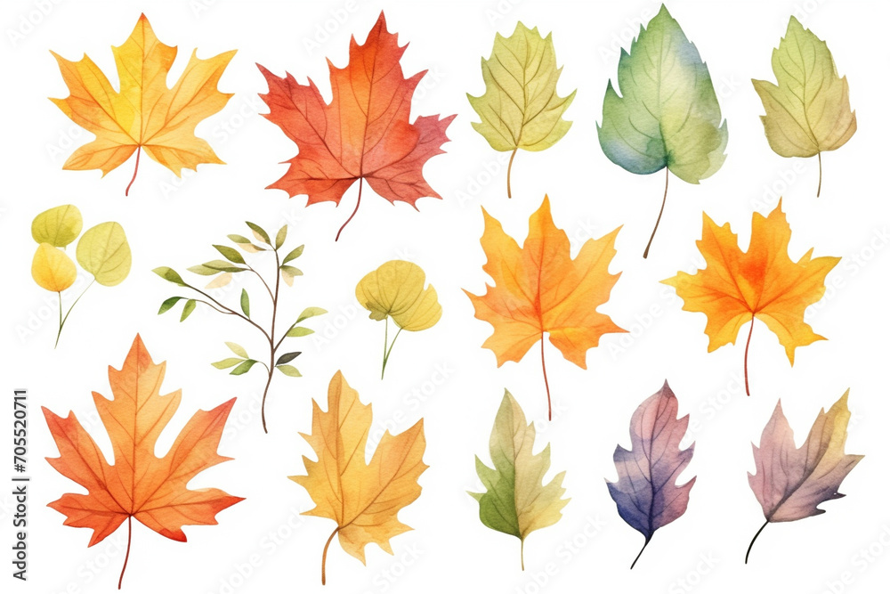 A collection of autumn leaves painting with watercolor on white background. 