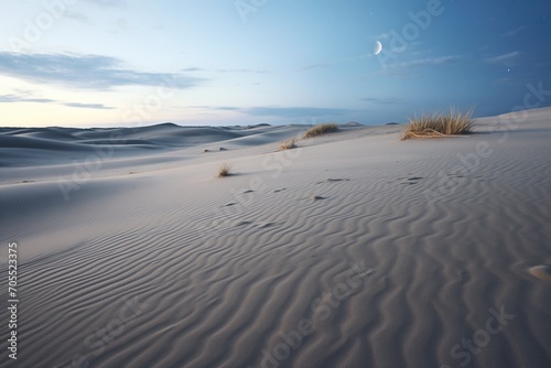 moonlit sand dunes with wind patterns