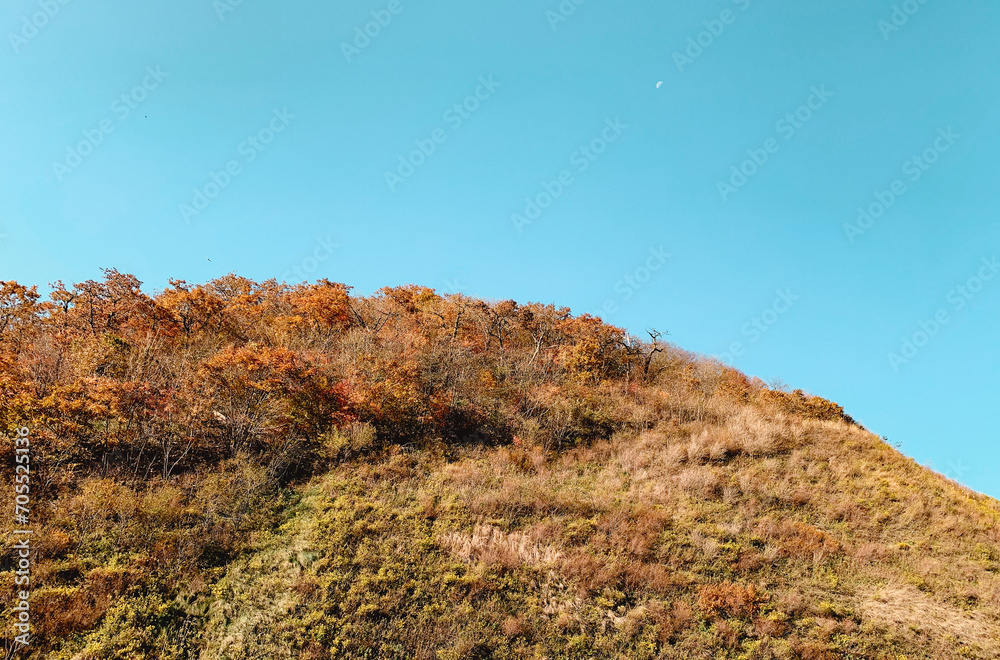 Korean Mountain Forest in Autumn with a Bright Moon with a Nice Blue Sky Background