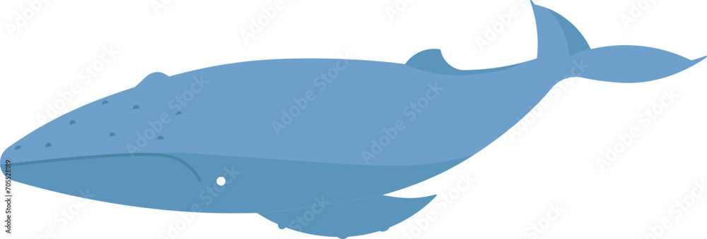 Cartoon Whale