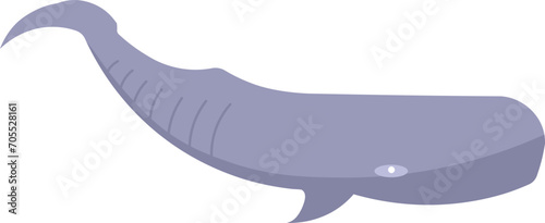 Cartoon Whale photo