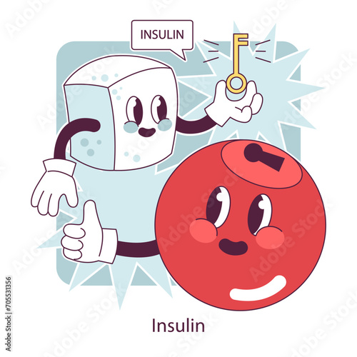 Endocrine system. Insulin function. Pancreas gland hormones secretion and balance. Metabolism regulation. Flat vector illustration