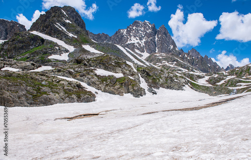 Himalayas Landscape the mountains view Himalayan region Nepal. Meadows, alpine trees, Wildflowers and snow on mountain. Asian travel and nature in India. photo