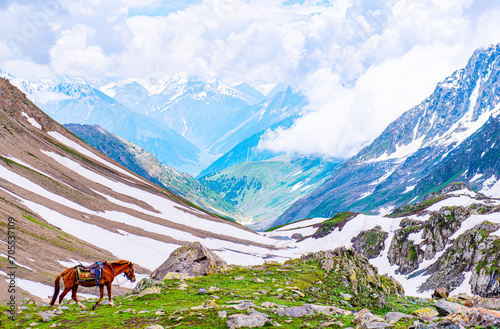 Himalayas Landscape the mountains view from the top of Sonmarg, Kashmir valley in the Himalayan region Nepal. Meadows, alpine trees, Wildflowers and snow on mountain. Asian travel and nature in India. © Vatanika