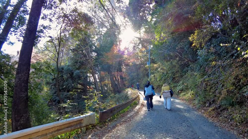 Mount Takao Day Trip: Explore Tokyo's Favorite Mountain