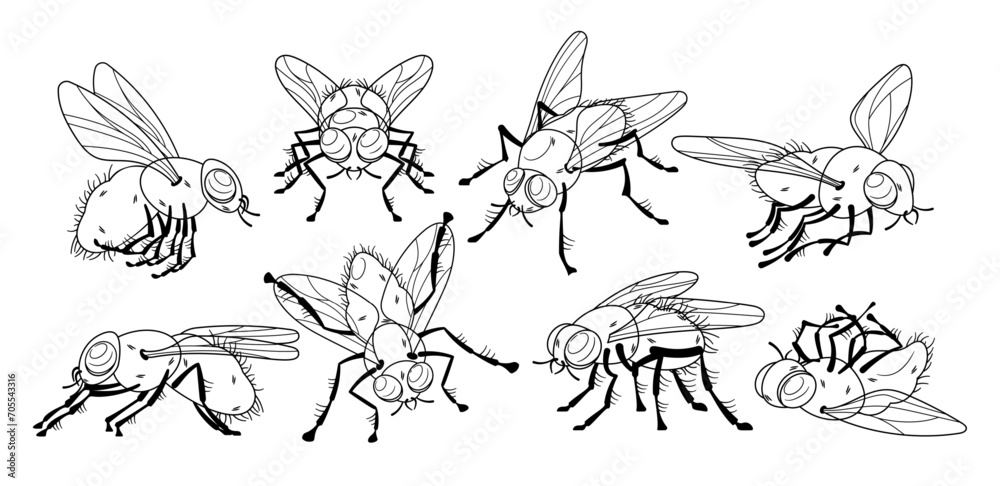 Insect Flies Poses Monochrome Black and White Vector icons Set. Winged Arthropods Species with Compound Eyes
