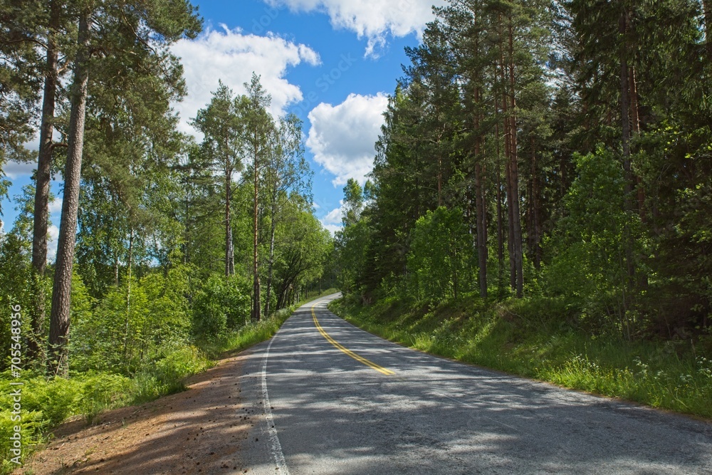 Naklejka premium Asphalt winding curve road on a sunny summer day.