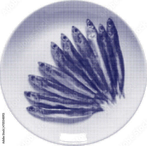 anchovy fish on plate, isolated on white background
