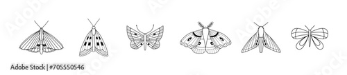 Linear butterflies and moths. Outline bohemian insects. Doodles, icons. Great for prints, banners, tattoo. Coloring book.