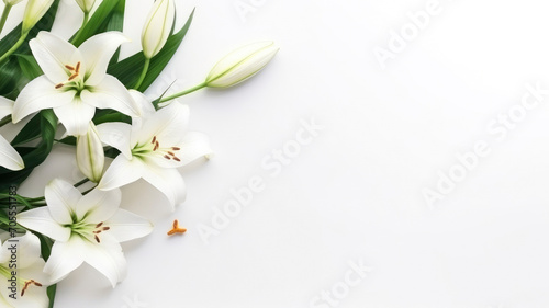 flowers white pastel lilies composition on a white background copy space template © ТаtyanaGG