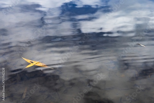 Reflection of the sky in the river