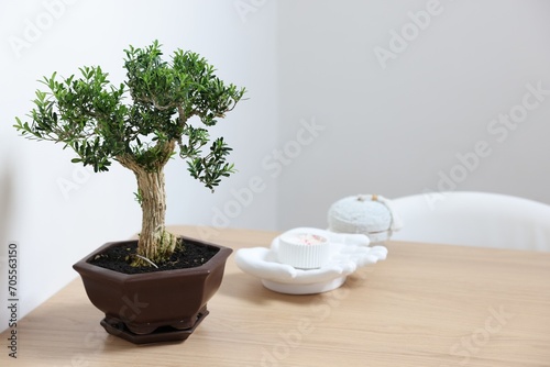 Beautiful bonsai tree in pot and decor elements on wooden table indoors, space for text