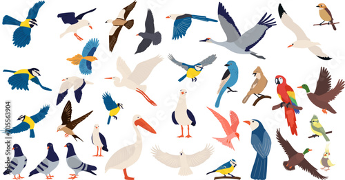 set of birds of different breeds on a white background, vector