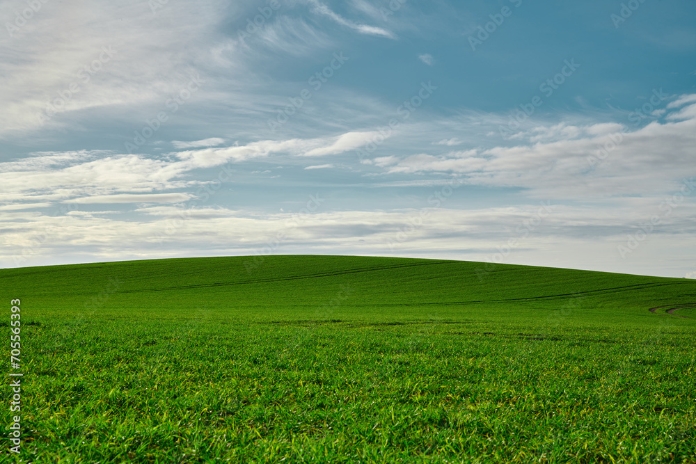 beautiful unobstructed view of a lush green field under a friendly blue, partly cloudy sky, screensaver, windows xp