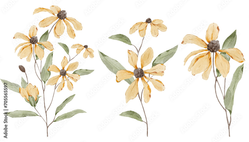Set of watercolor yellow wildflowers. Flower, green leaves, but. Hand drawn botanical.