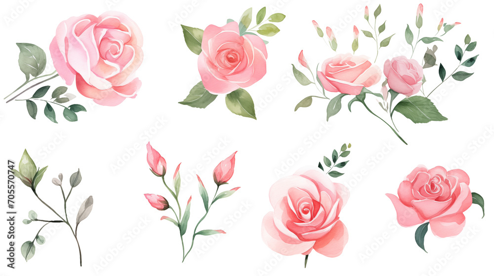 Watercolor elements pink, red and blue roses on a white background Watercolor elements pink, red and blue roses on a white background