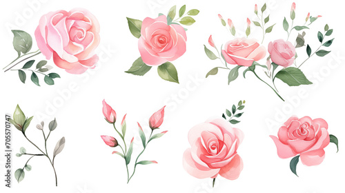 Watercolor elements pink, red and blue roses on a white background