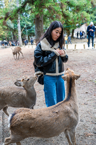 a young girl feeding deer with biscuit in Japan Nara Park