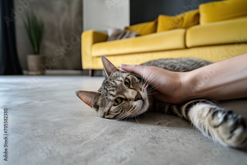 Tender moment between human and pet tabby cat. Generative AI image photo