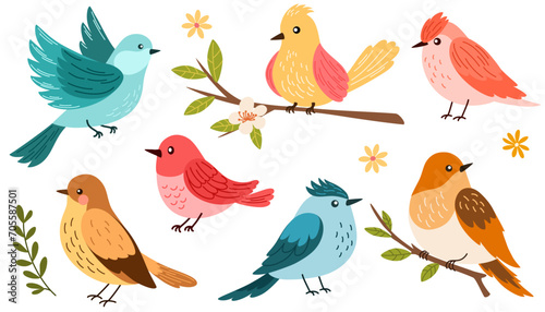 Spring birds set. Different beautiful birdie with flowers and branch. Vector cartoon illustration in childish style isolated on white. photo