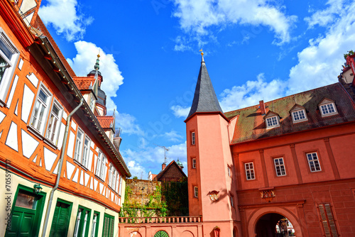 Schloss Erbach (Odenwald) photo