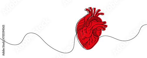 human heart drawn with a line. Vector illustration.