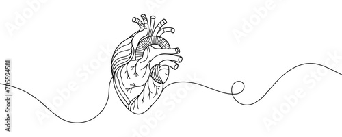 human heart drawn with a line. Vector illustration.