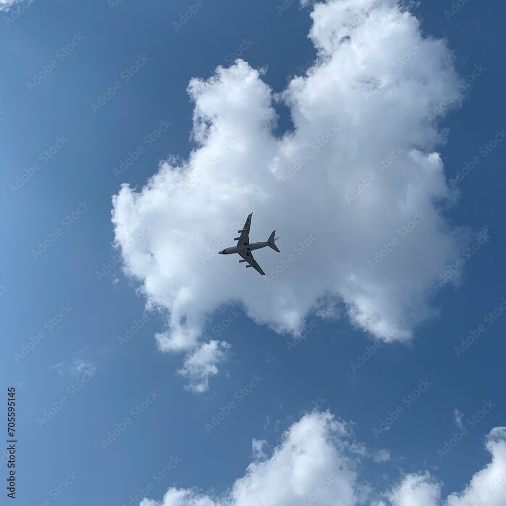 airplane in the sky