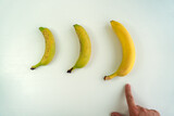 Different size and shape of Banana compare, penis Size compare concept. Men's intimate plastic surgery