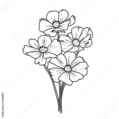 Line art Folwer Freehand 