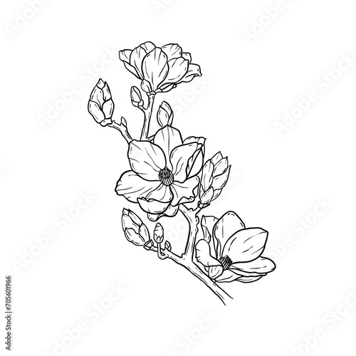 Line art Folwer Freehand 
