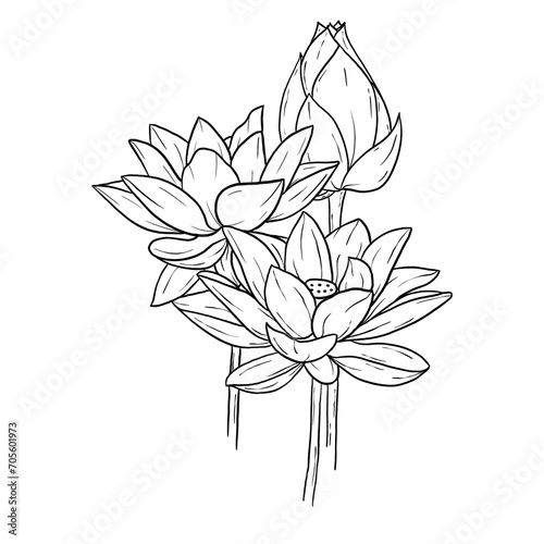 Line art Folwer Freehand 