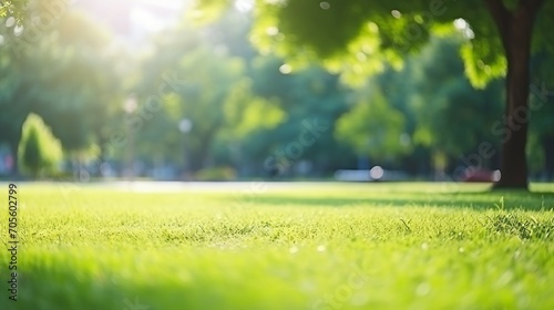 Serene Green Park Landscape with Blurry Trees, Creating a Fresh and Peaceful Outdoor Atmosphere Ideal for Summer and Spring Scenes