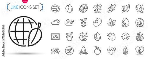 Pack of Gluten free, Green energy and Strawberry line icons. Include Water splash, Plants watering, Water drop pictogram icons. Bad weather, Windy weather, Pecan nut signs. Apple, Sleep, Lotus. Vector